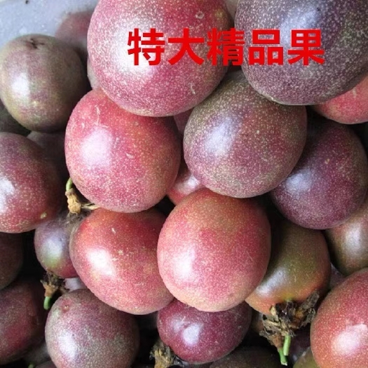 景洪市西番莲百香果