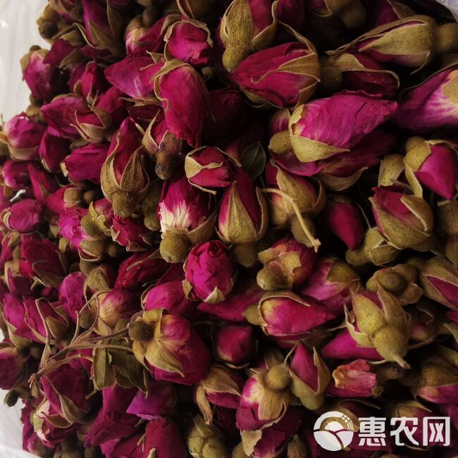  玫瑰花 甘肃 苦水玫瑰 干货