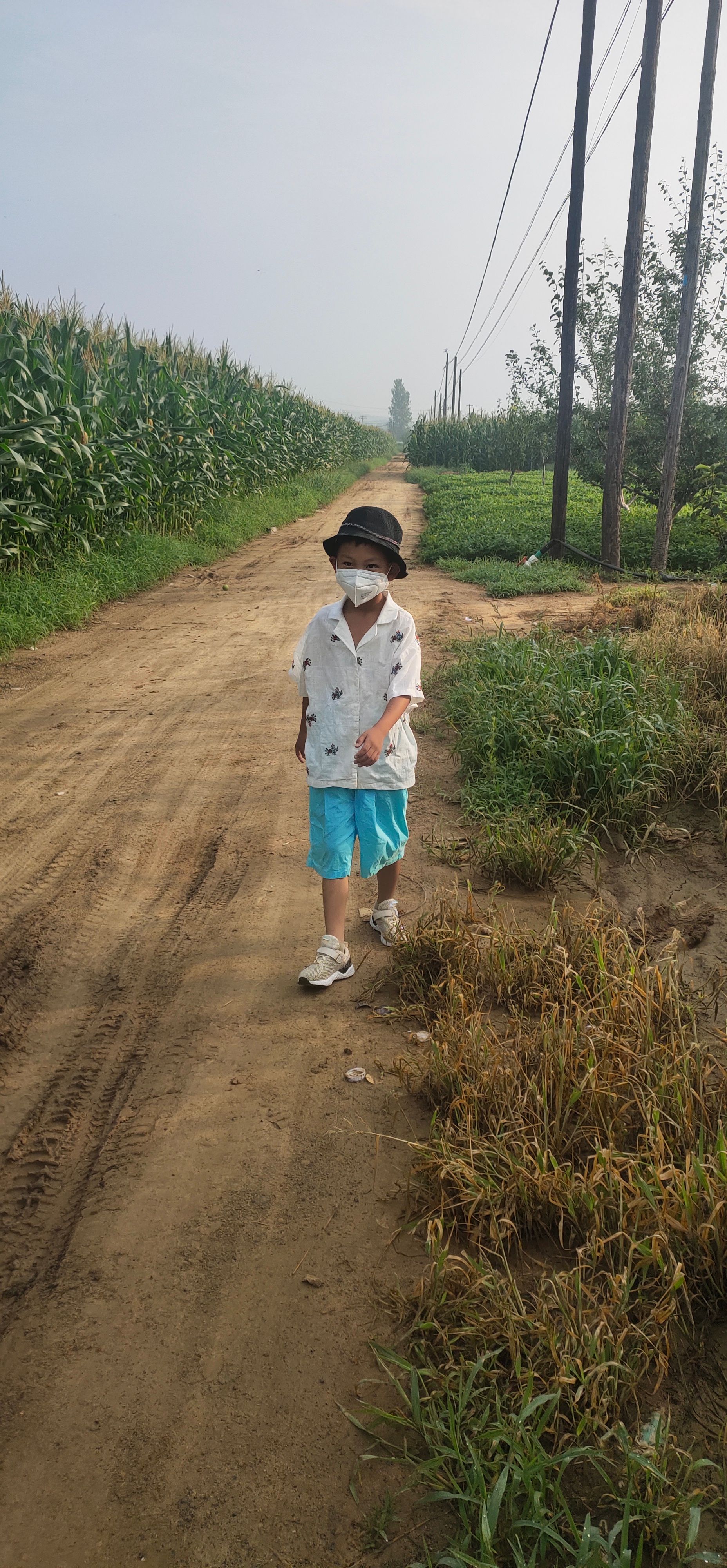 加州西梅 辽宁省锦州市北镇市 