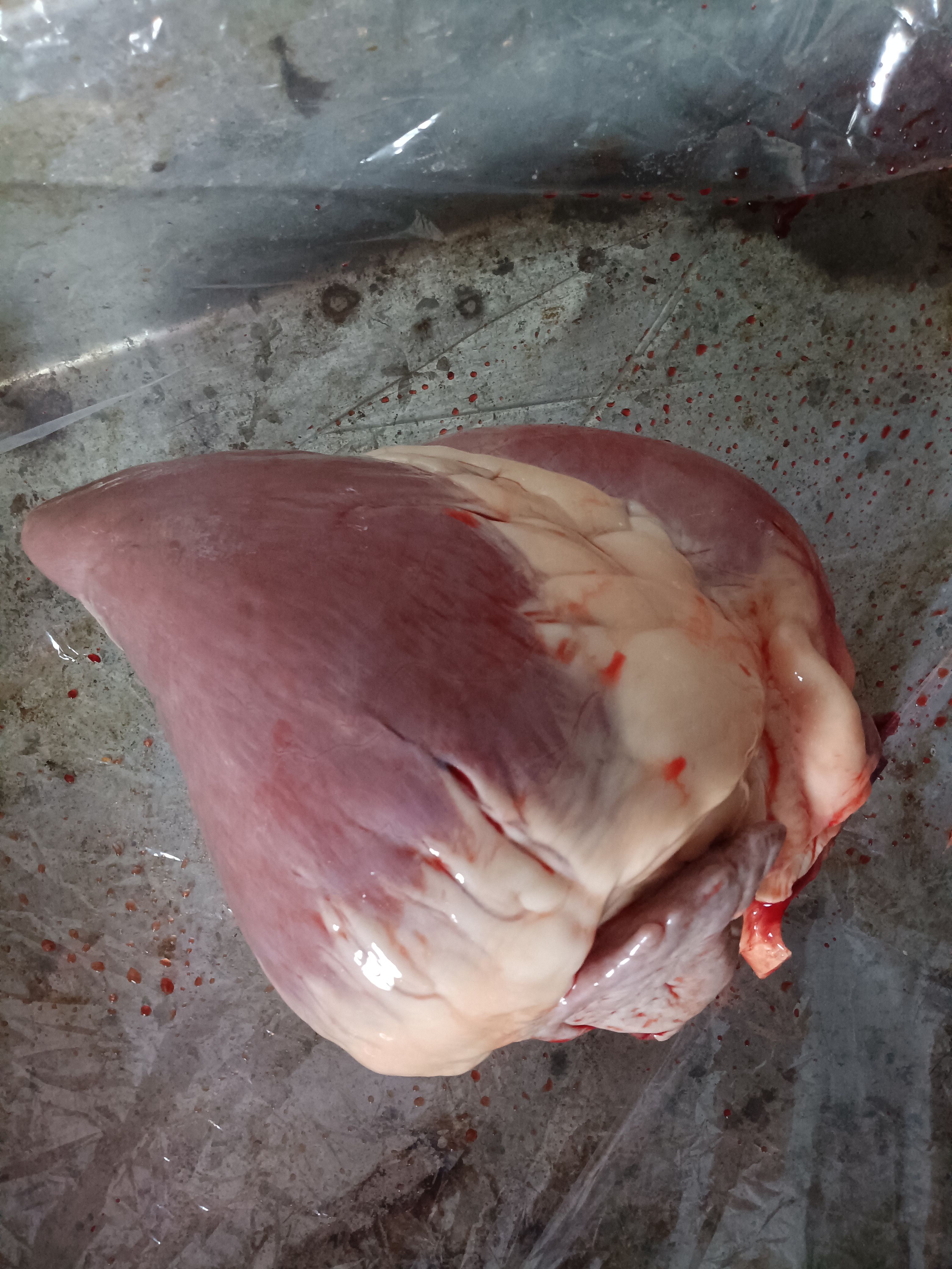  新鲜驴心@驴心现宰干净颜色质量好@鲜驴心山东基地直供