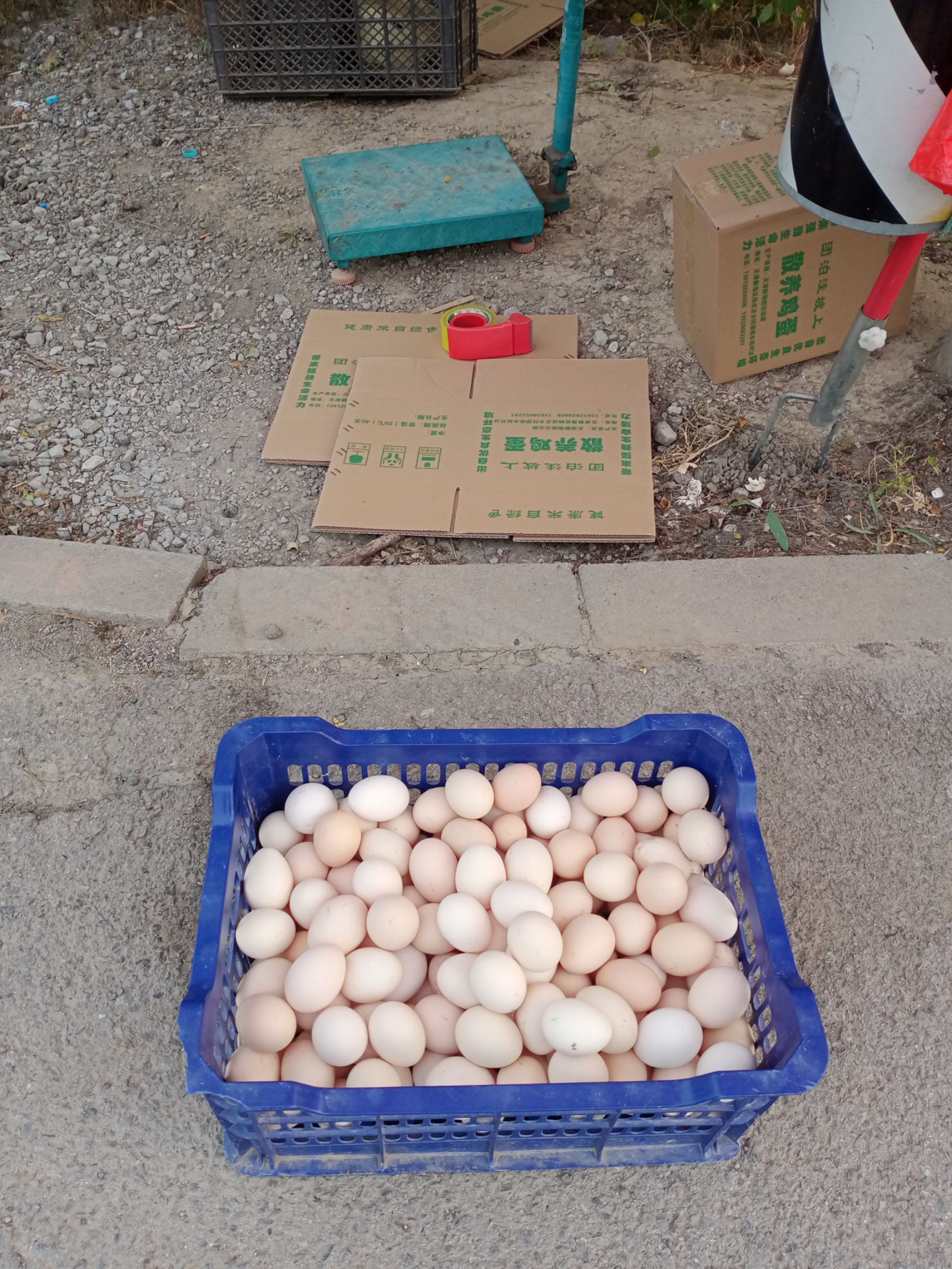 白壳蛋  农家散养土鸡蛋食青菜红心土鸡蛋限量供应散养土鸡蛋