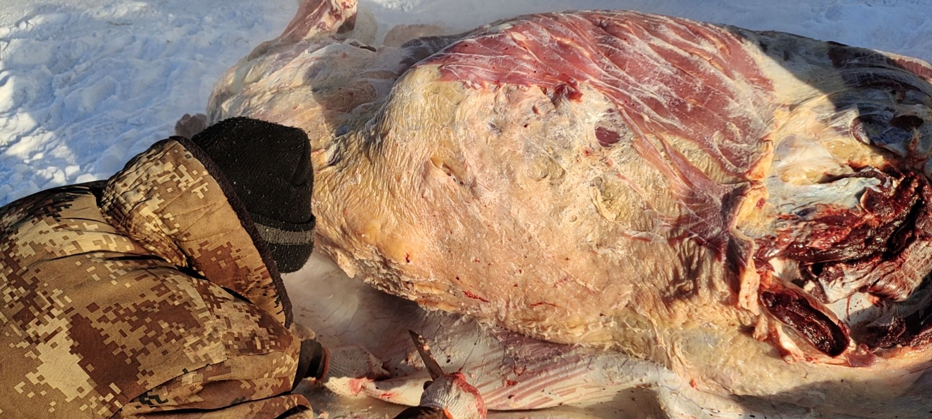 牛肉类 国产牛肉 3肥7瘦 5%以内 不注水