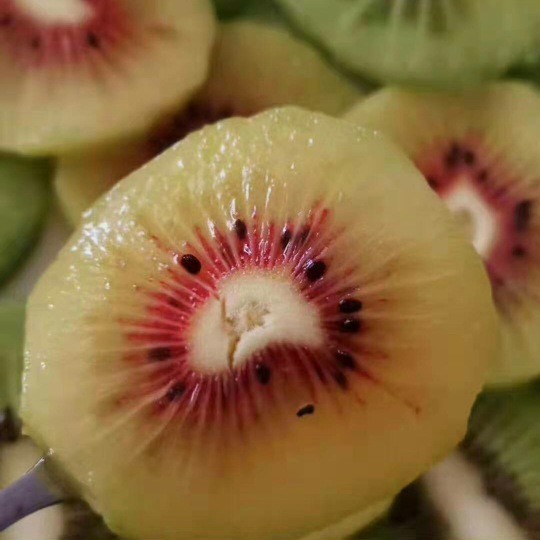  红心猕猴桃基自产，大量供应