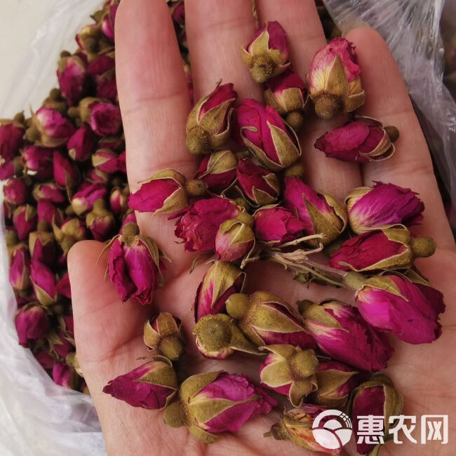  玫瑰花 甘肃 苦水玫瑰 干货