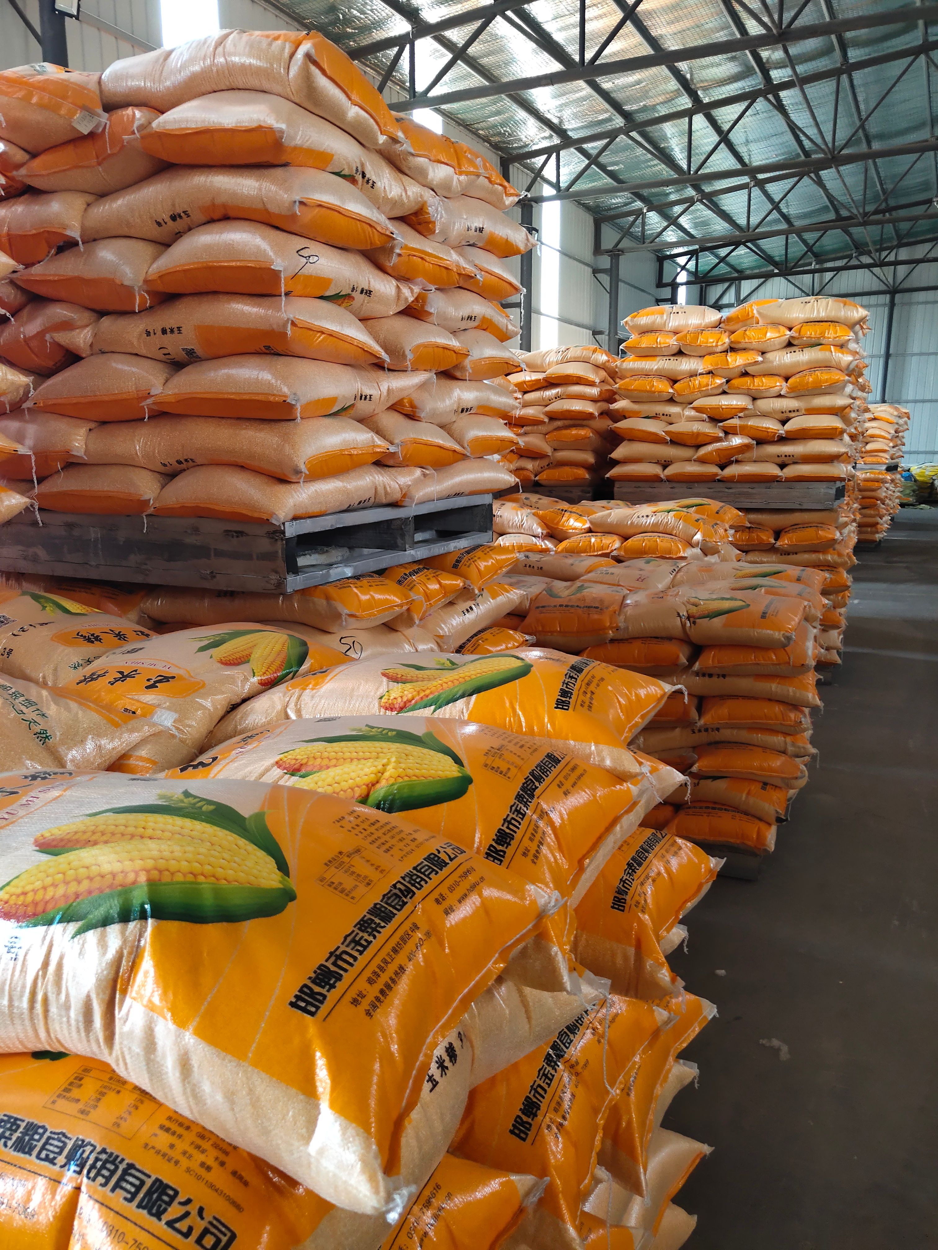 玉米粉玉米面玉米糁玉米面粉厂家直销