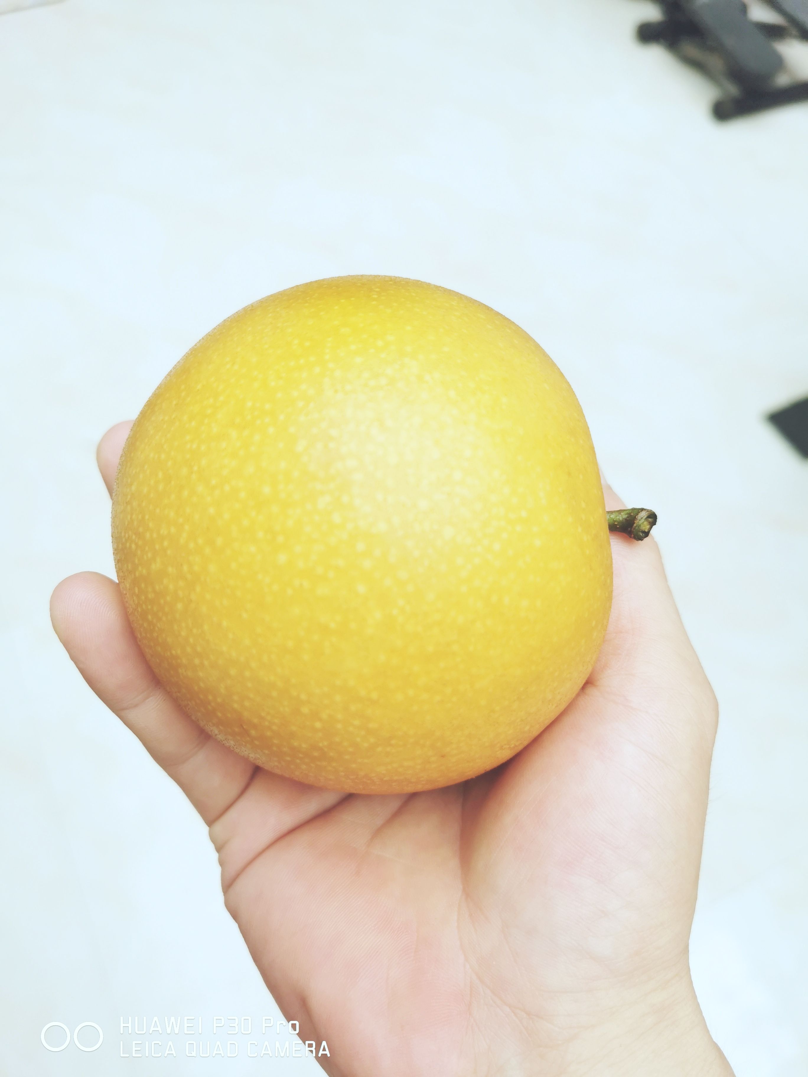  村村宝秋月梨原产地直供