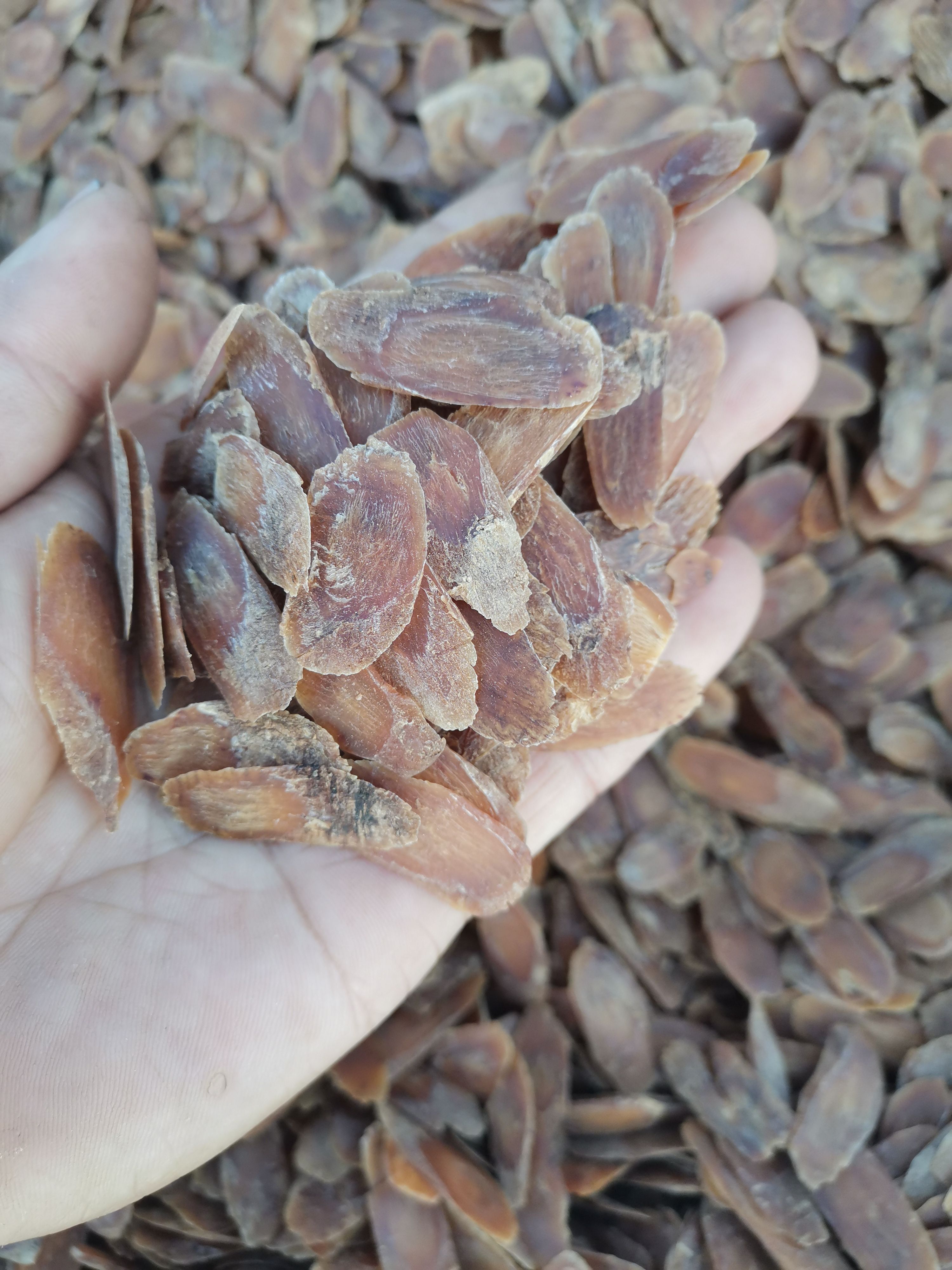 园参  【红参片】长白山无糖红参片  产地批发 500克10