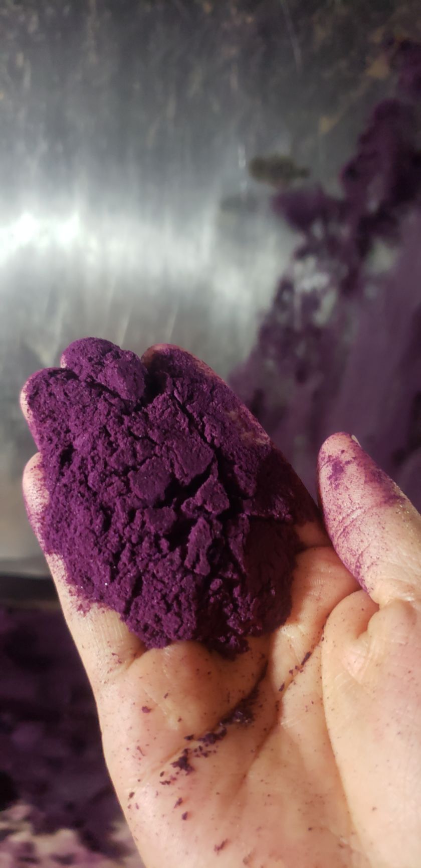 紫薯全粉  厂家直销 紫薯粉 脱水蔬菜粉 面食面点烘焙原料 现货供应