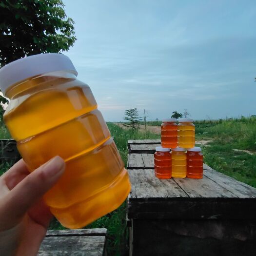合阳县土蜂蜜  自家蜂蜜 蜂场直发  孕妇蜂蜜 百花蜜  槐花蜜