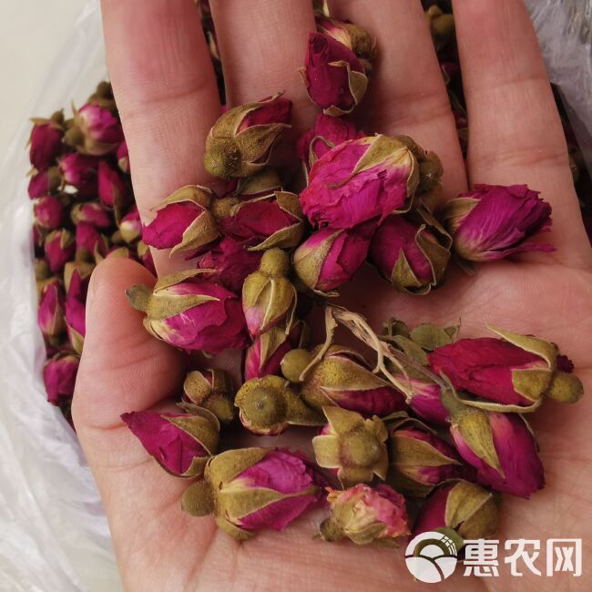  玫瑰花 甘肃 苦水玫瑰 干货