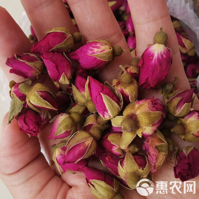  玫瑰花 甘肃 苦水玫瑰 干货