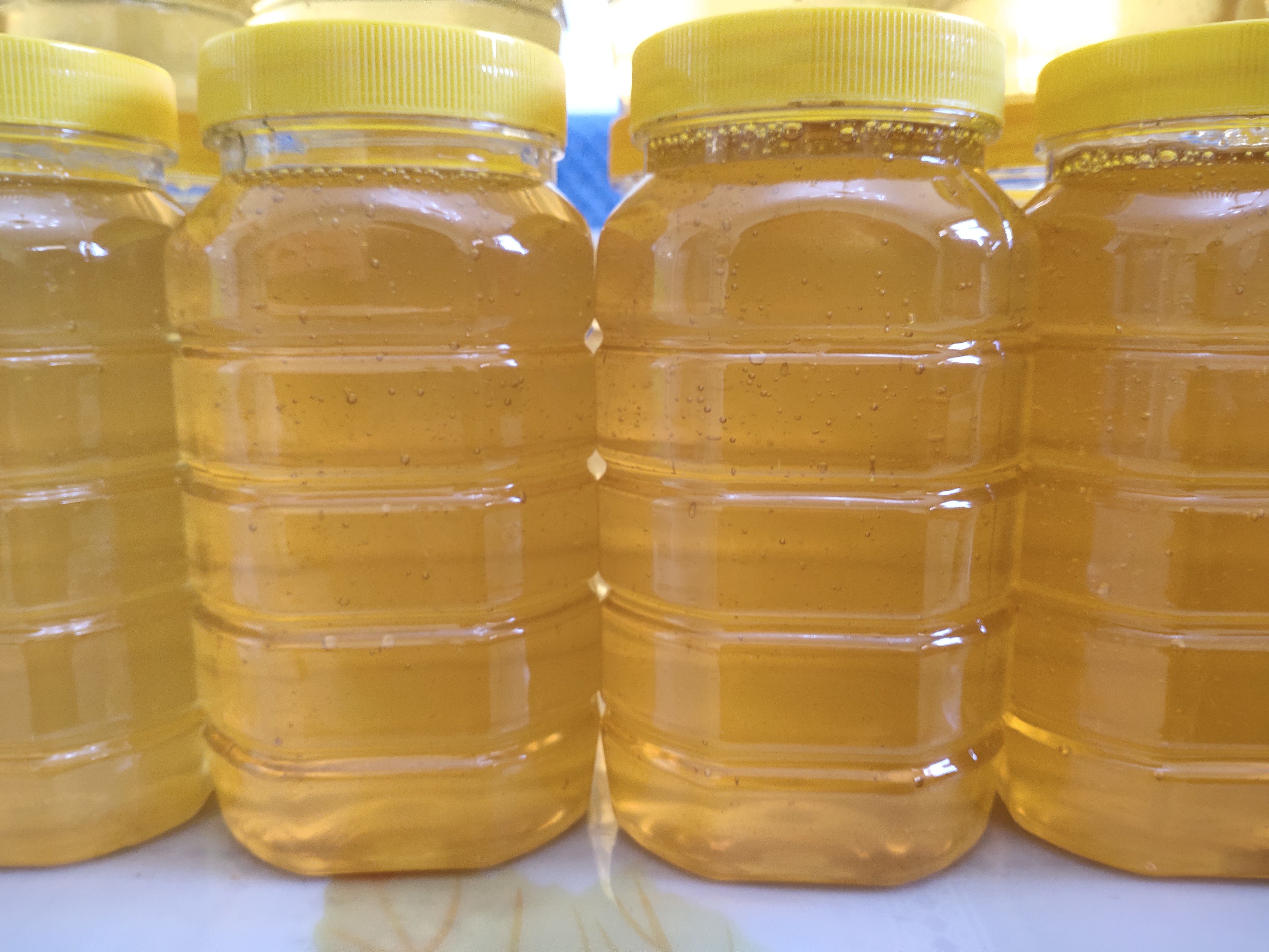 荆条蜜，槐花蜜