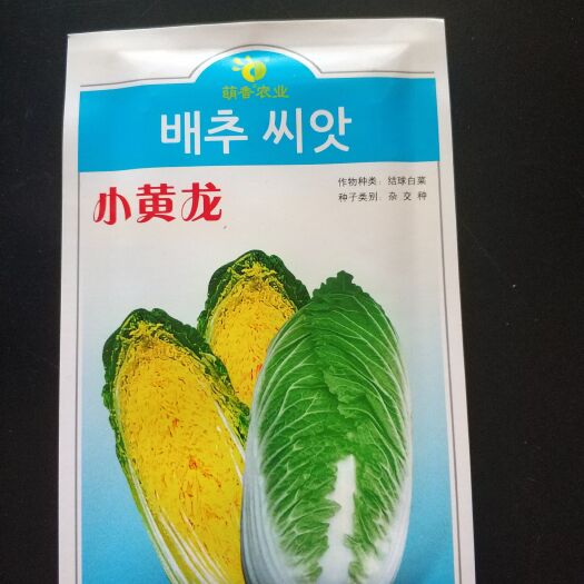 天津 小黄龙、娃娃菜种子、黄心、抗病、耐抽苔