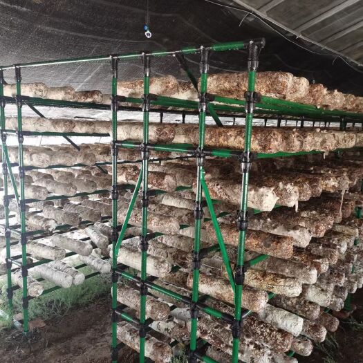 天津种植大棚  包塑菌菇棚，防腐性能好，抗老化，使用年限长久
