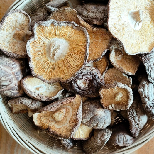 秦岭干香菇片，开伞香菇片
