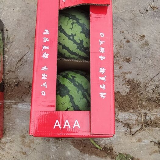 陇县美都西瓜 陕西省宝鸡市陇县 1茬