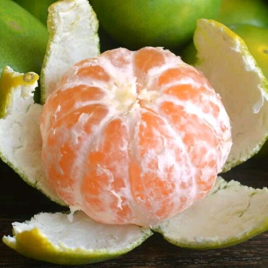 资中县蜜桔  特早蜜橘，酸酸甜甜，品质千年。产地直销