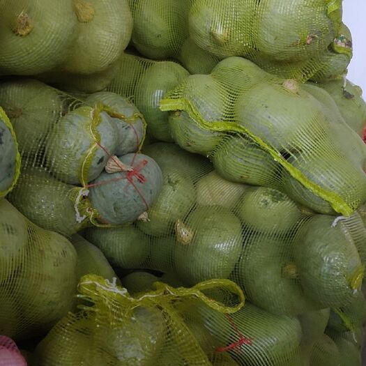 阿克苏市板栗南瓜 新疆维吾尔自治区阿克苏地区阿克苏市 2~4斤 