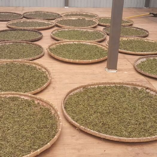 景洪市古树茶  云南普洱茶～基诺山