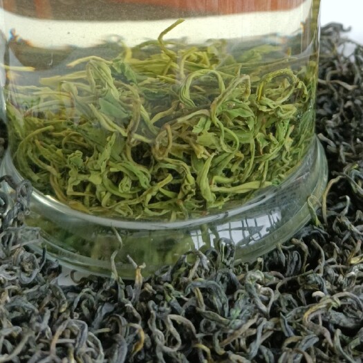 古丈县2021年黄金茶，高山绿茶