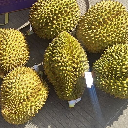 南宁泰国金枕榴莲一件代发包邮整件