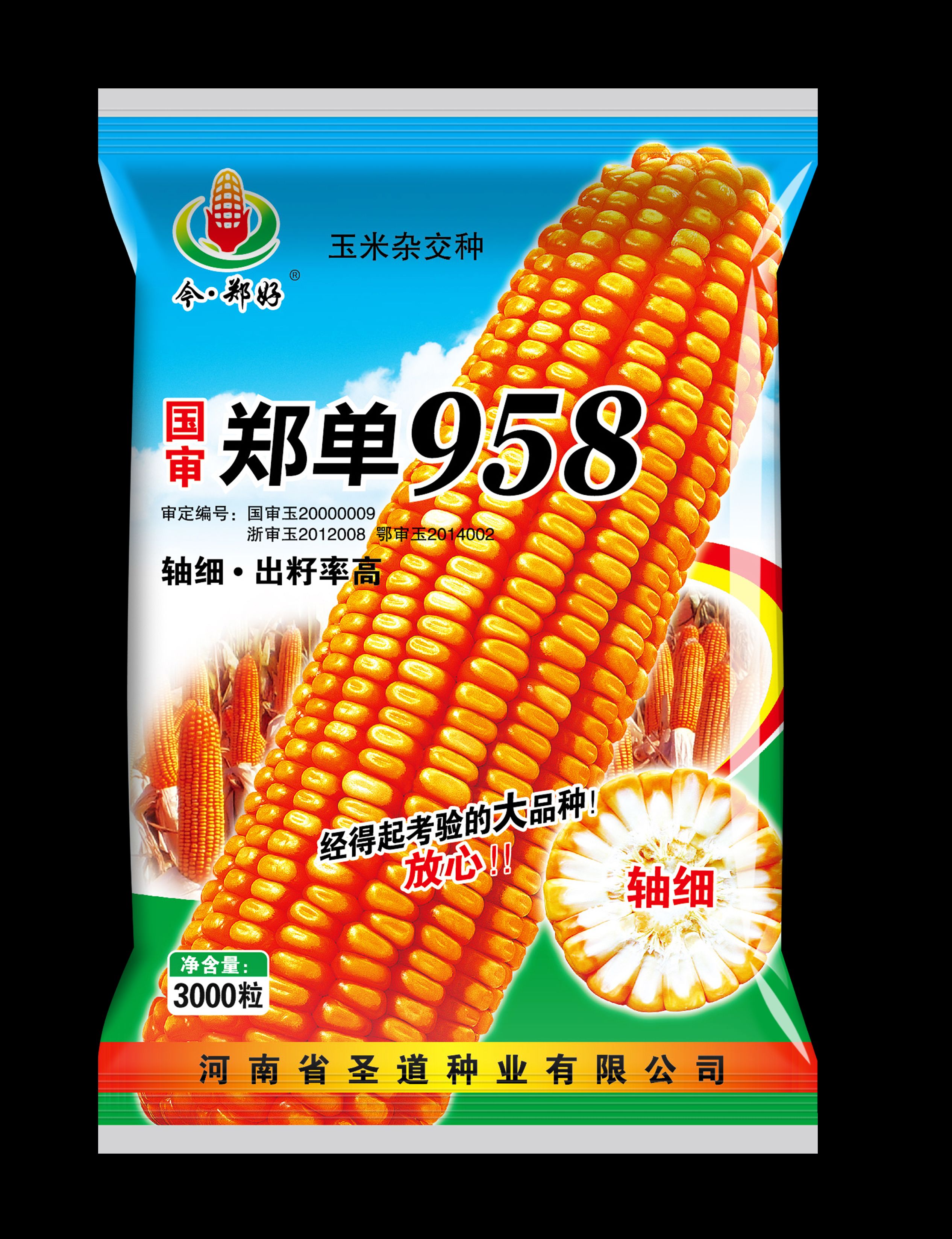 郑单958玉米种子  国审玉米品种单958玉米种子手续齐全产