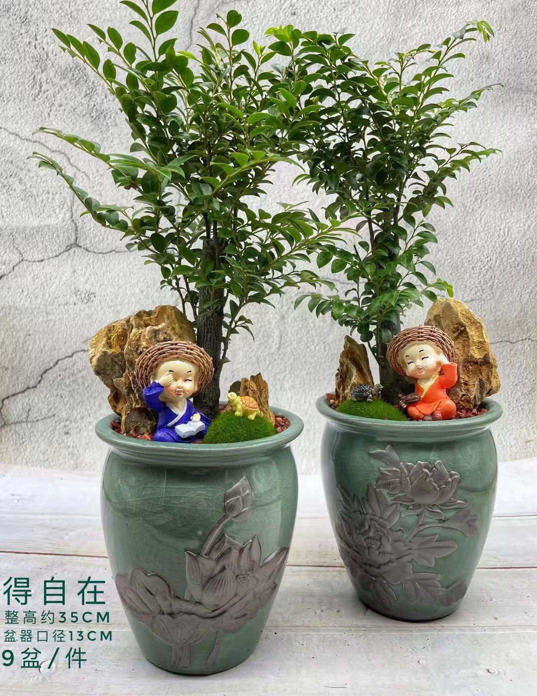 小叶紫檀盆栽 紫檀陶瓷盆景