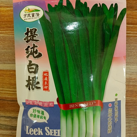 韭菜种子，叶片墨绿色，白根青韭，株干笔直，叶片修长而圆厚。