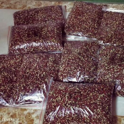积石山县大红袍花椒 甘肃大红袍干花椒