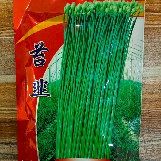 韭菜种子，抽苔专用！全国各地均可种植！芽率95%以上。