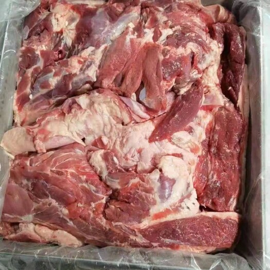 大厂县羊肉类  国产纯干羊板肉手里现货需要的联系