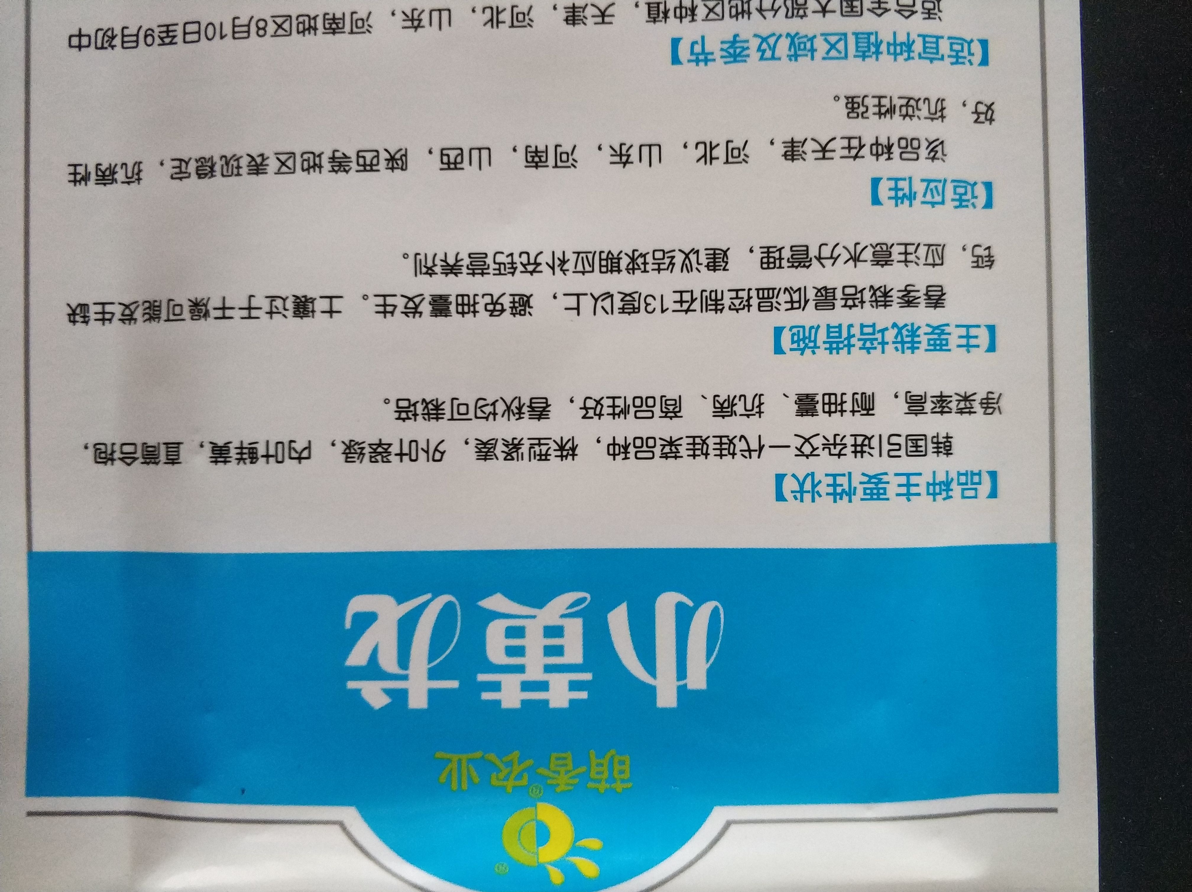  小黄龙、娃娃菜种子、黄心、抗病、耐抽苔