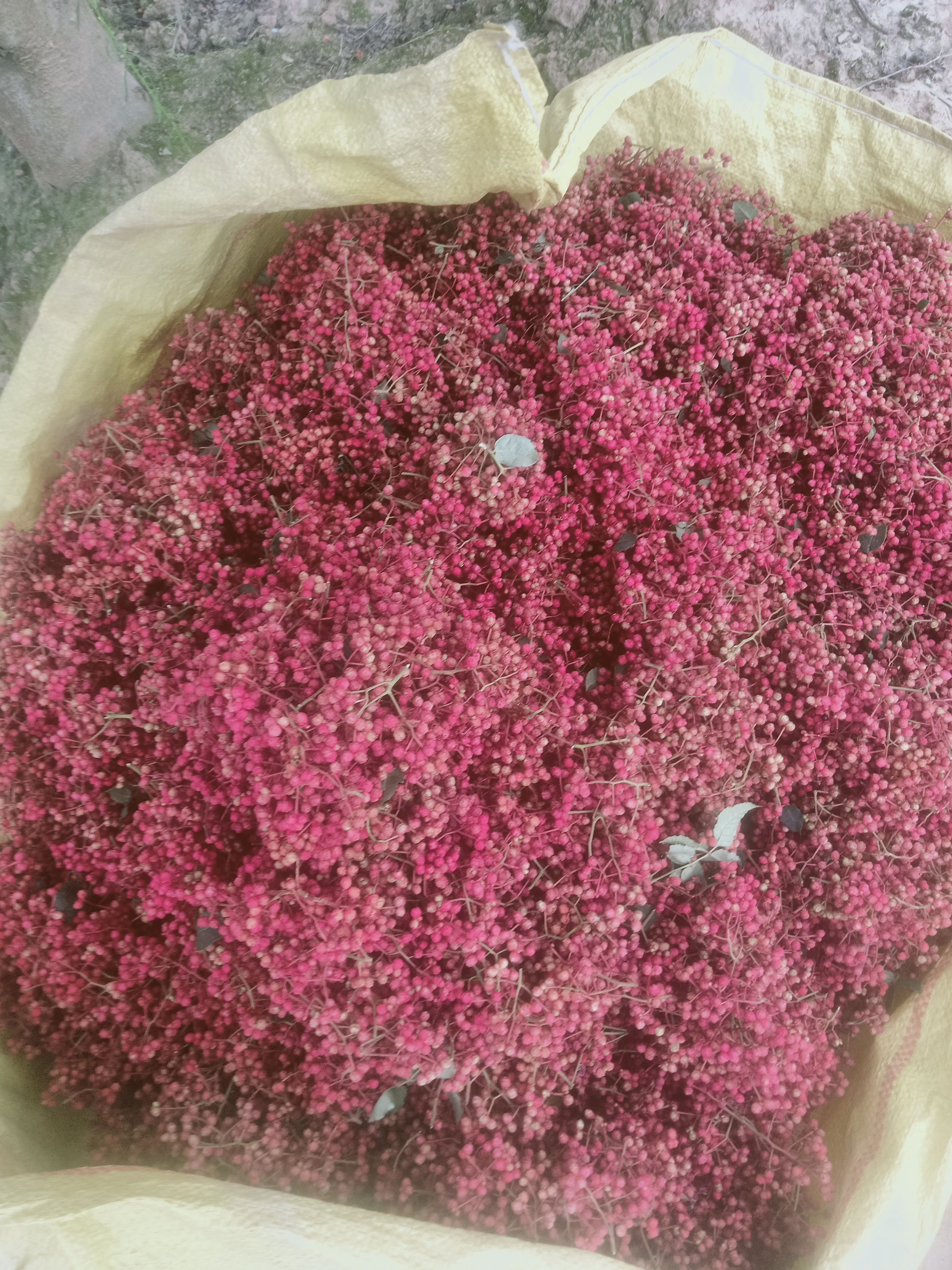 红花椒 花椒