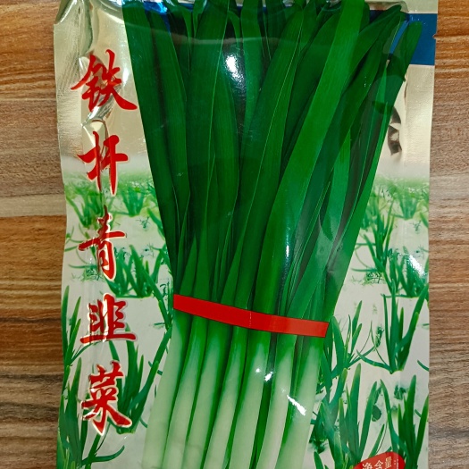 杆子笔直，叶片狭长，厚实，株高约60厘米，青绿色，红根。