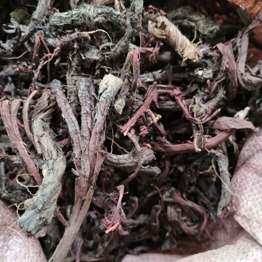 新源县 紫草新疆软紫草
