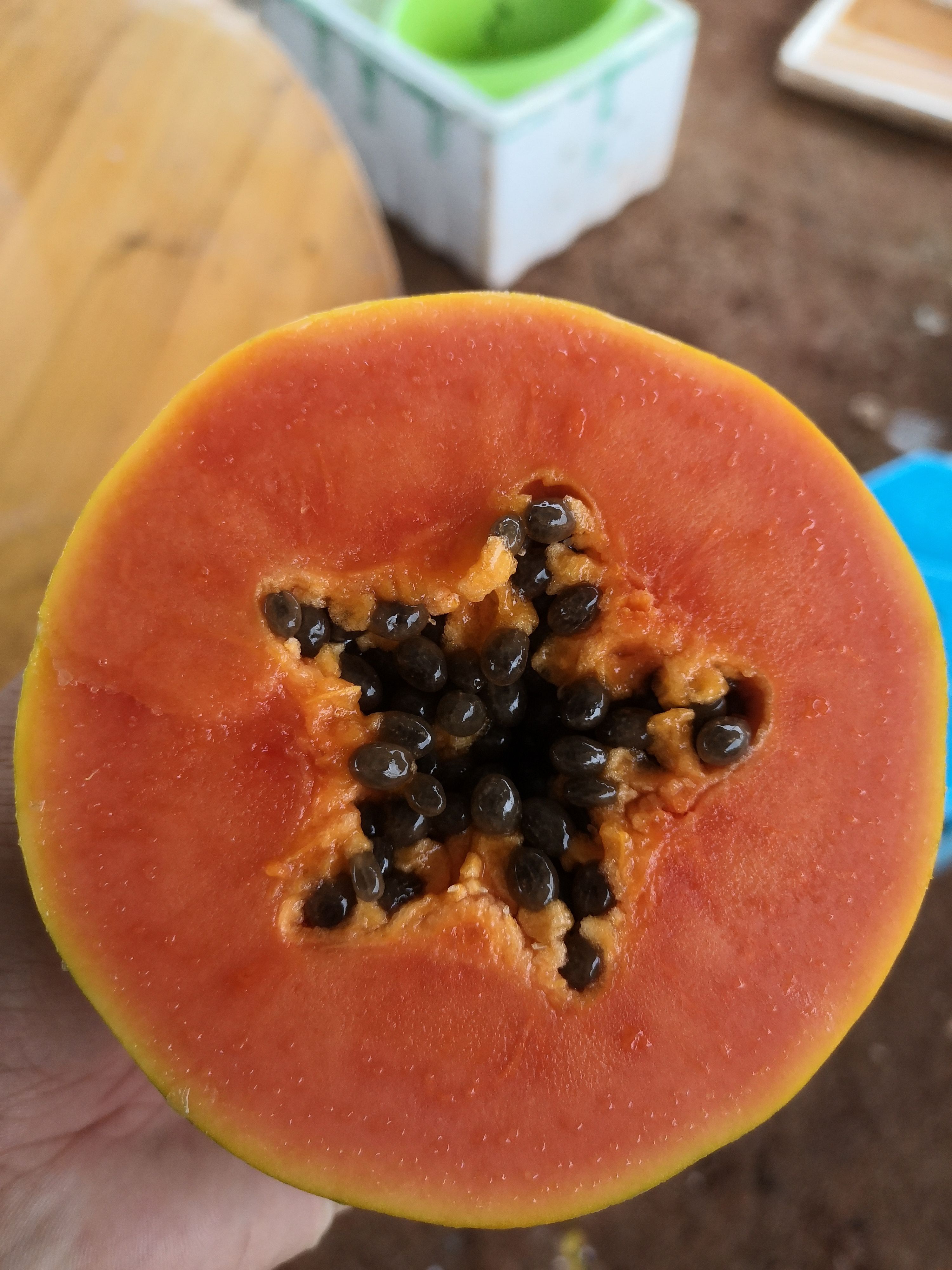 大白木瓜  木瓜 大青木瓜 水果木瓜 果园现摘现发无代办费走车价