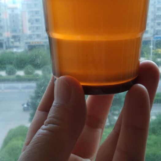 呼伦贝尔俄罗斯高出油菜籽
