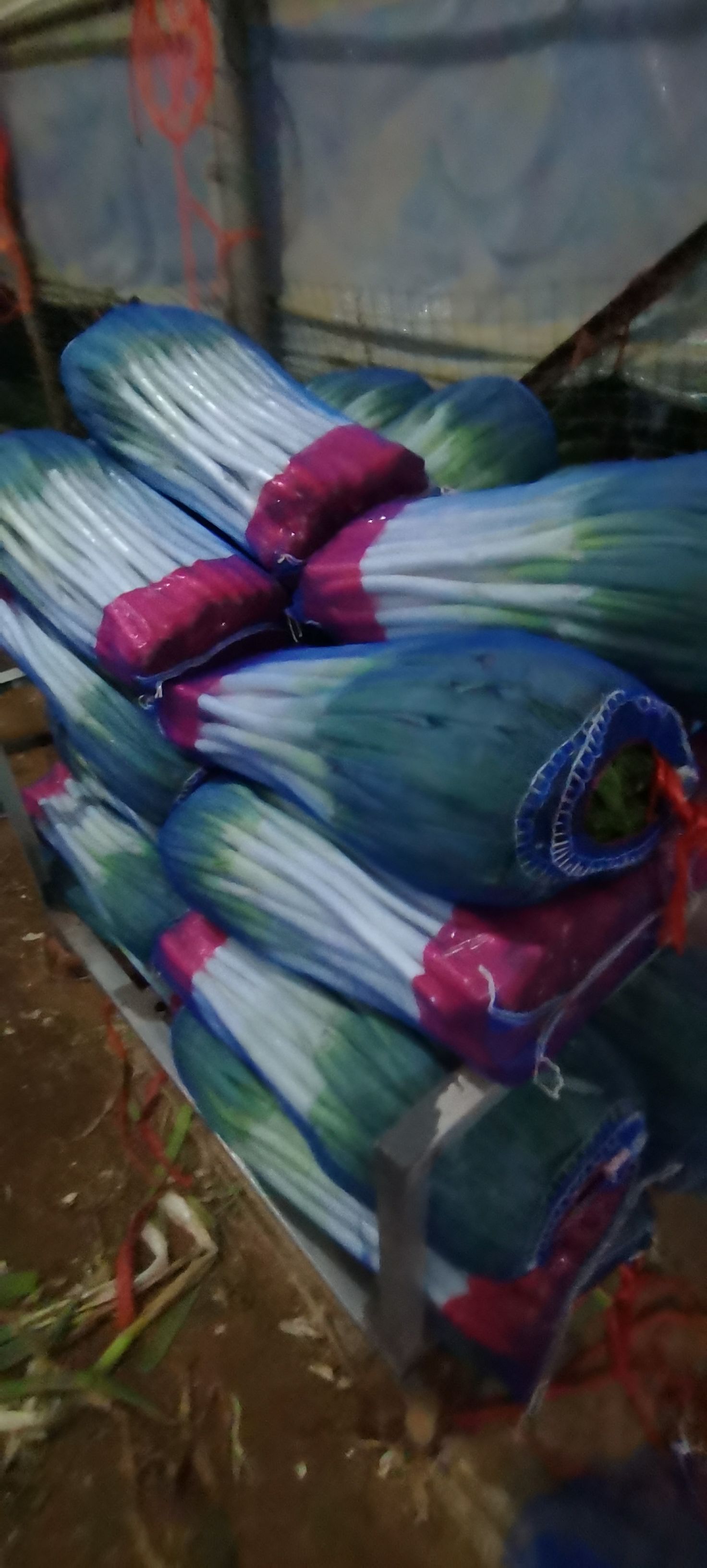 长白大葱  对接各大企业，山东安丘直供铁杆大葱现货稳定供货