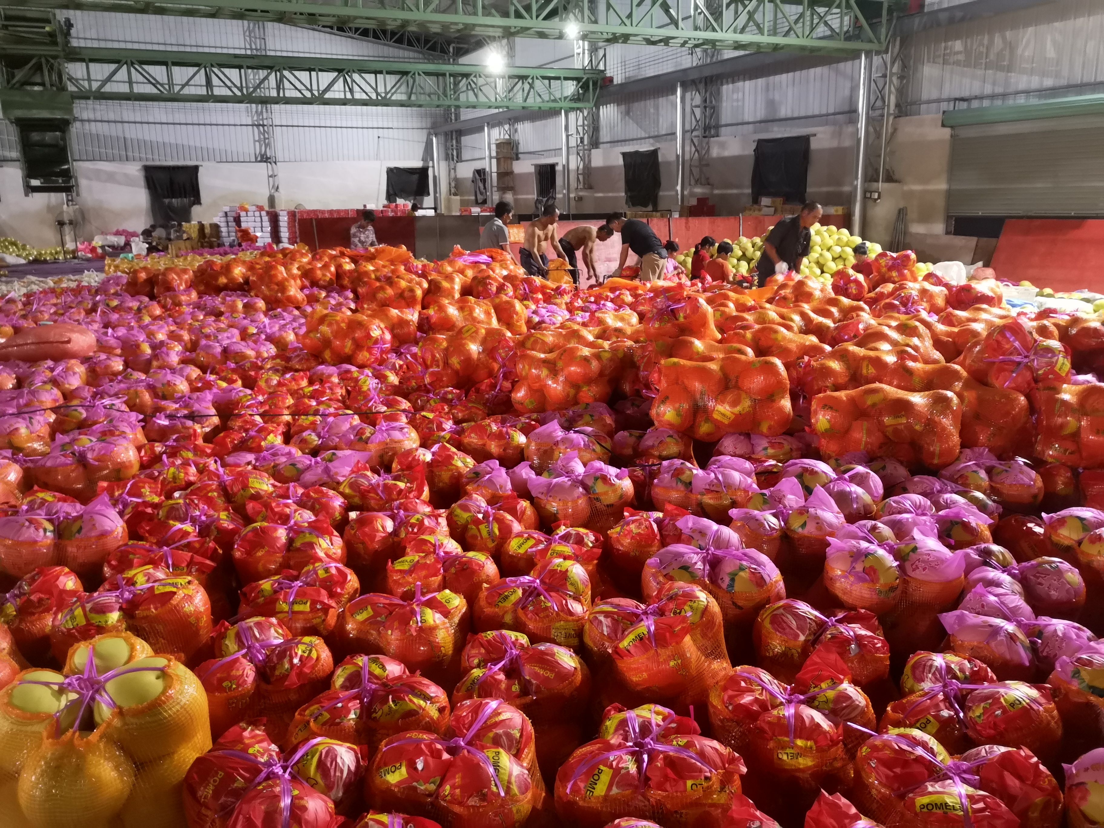廣東梅州紅心柚  琯溪紅心蜜柚產(chǎn)地直供 實力代辦 貨源充足