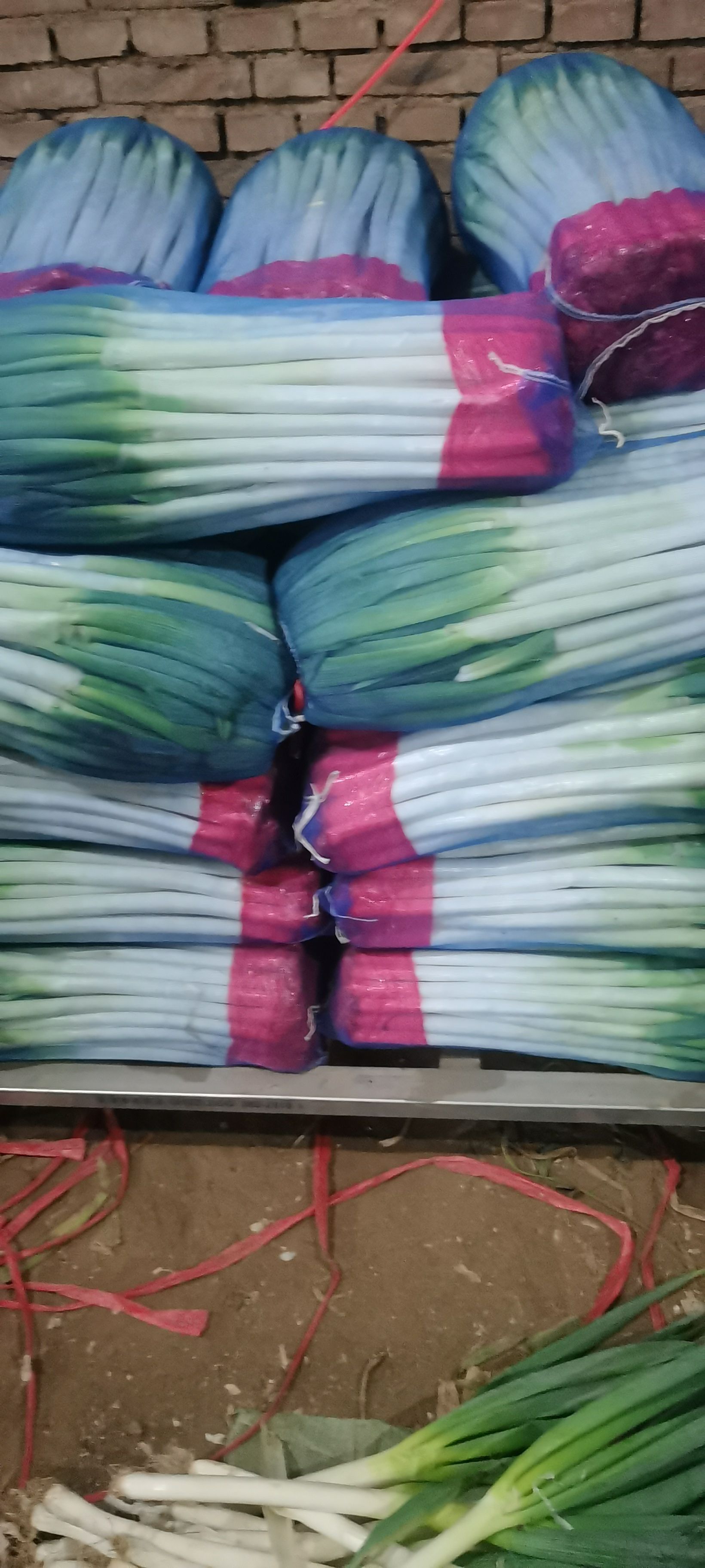 长白大葱  对接各大企业，山东安丘直供铁杆大葱现货稳定供货