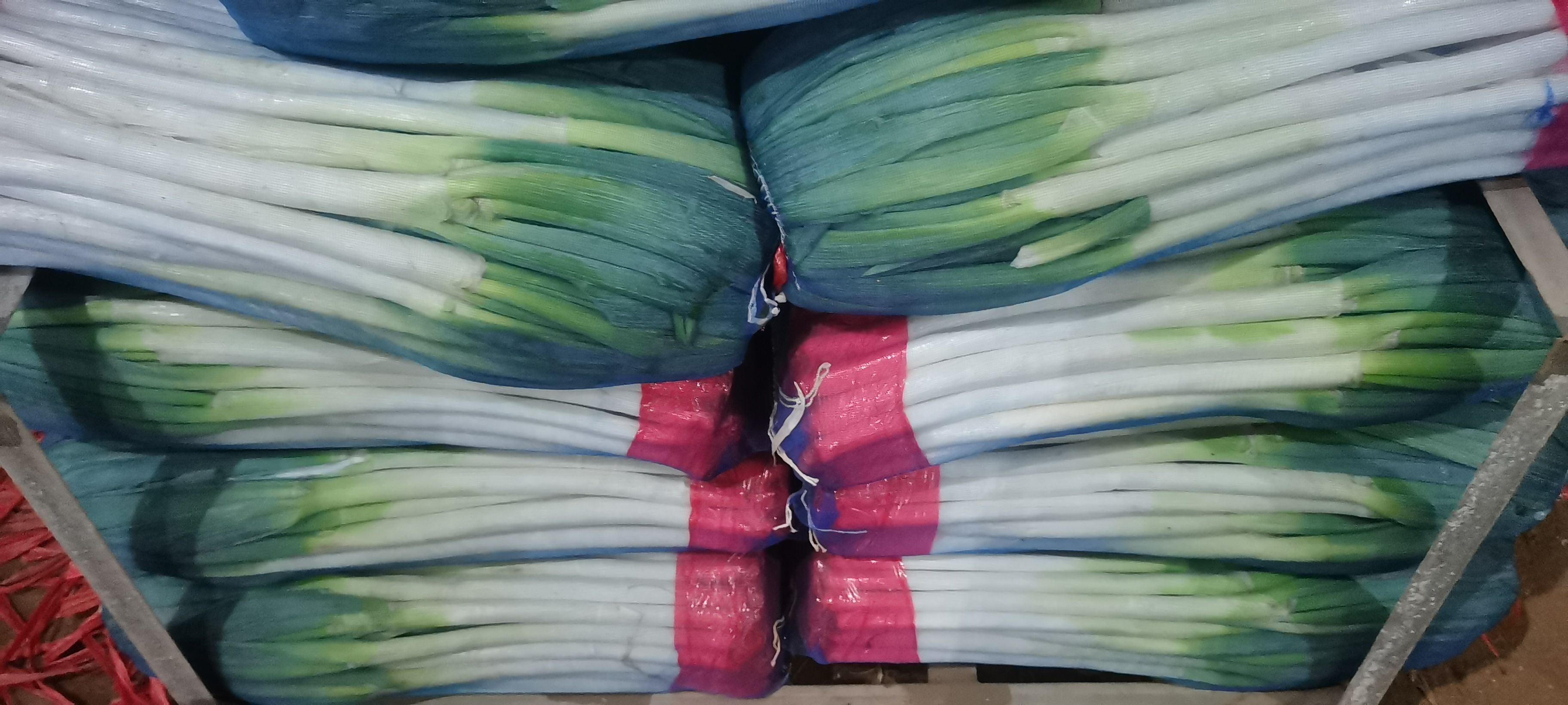 长白大葱  对接各大企业，山东安丘直供铁杆大葱现货稳定供货