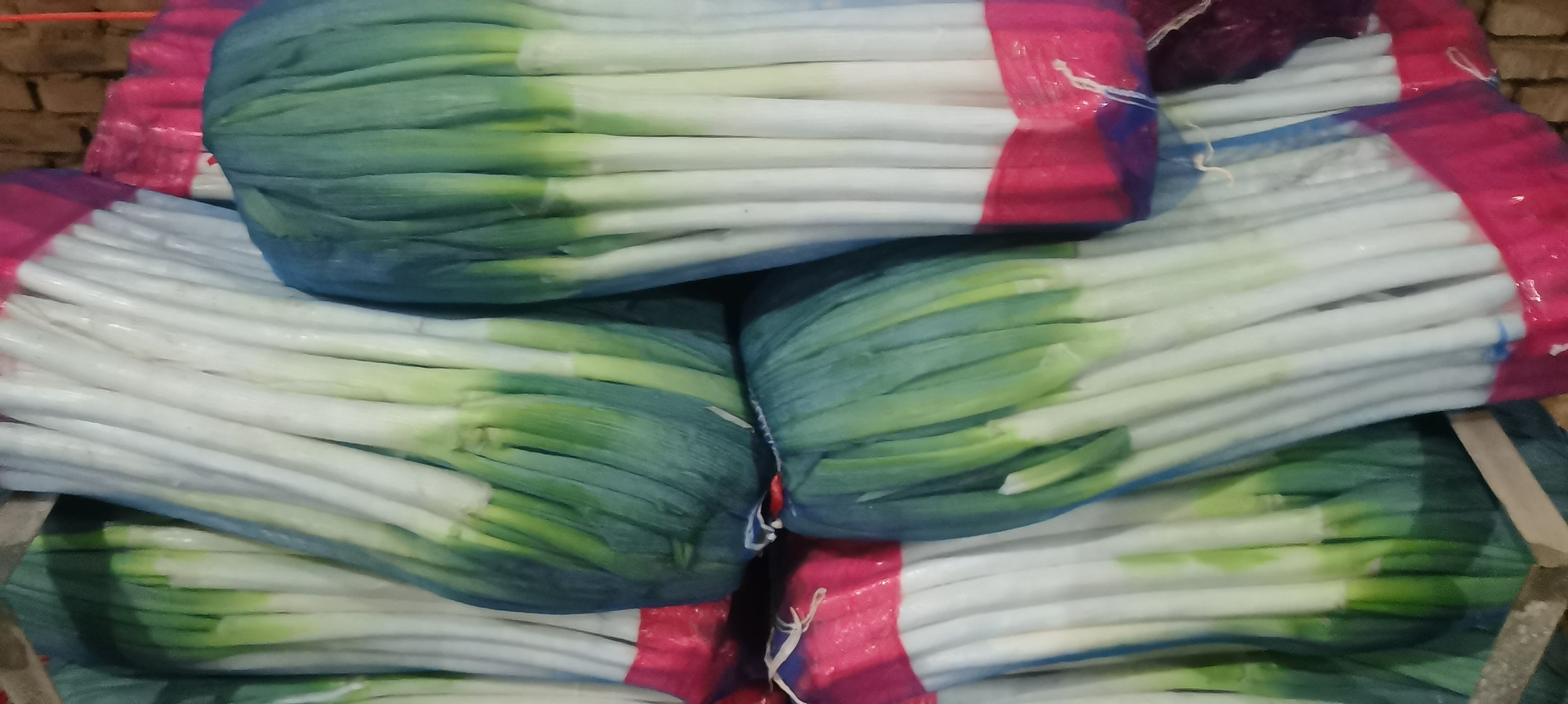 长白大葱  对接各大企业，山东安丘直供铁杆大葱现货稳定供货