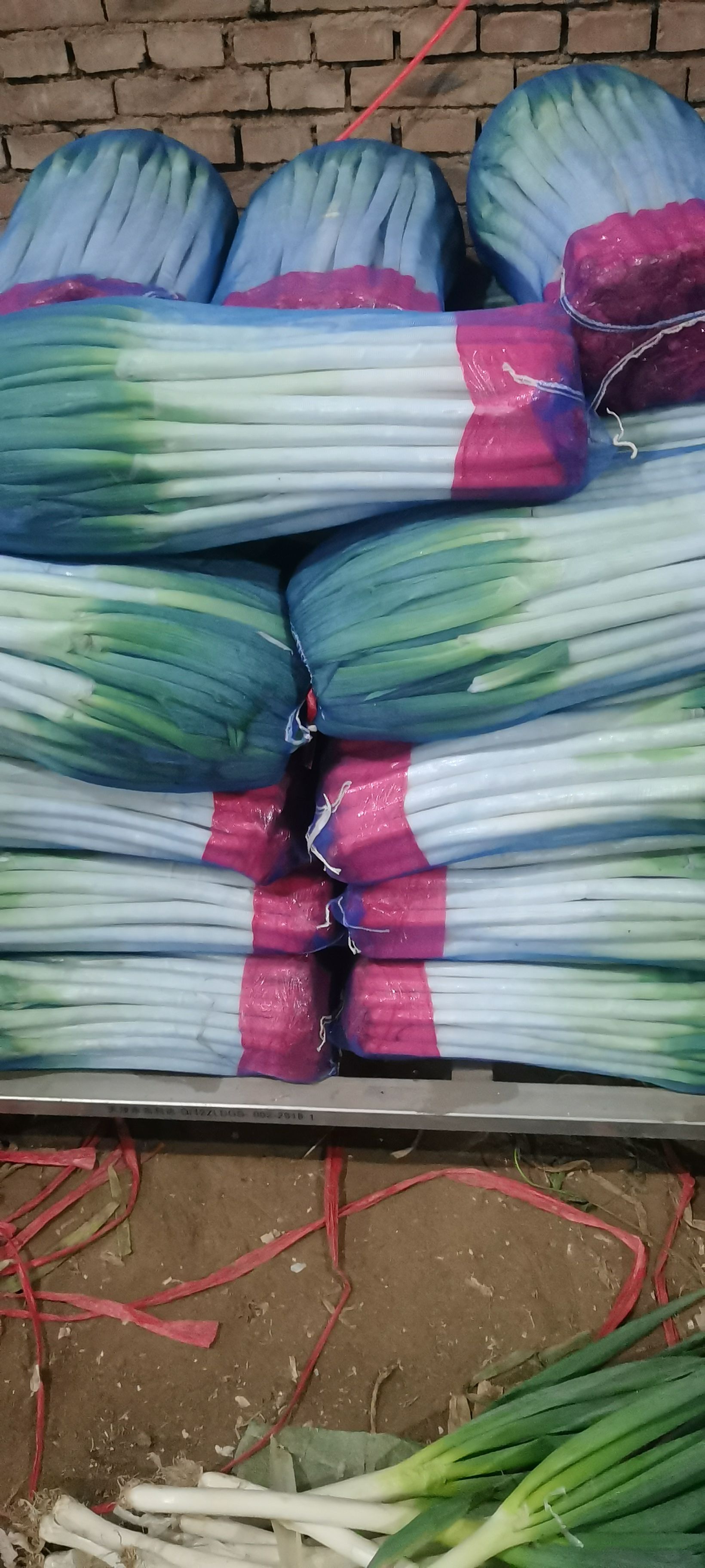 长白大葱  对接各大企业，山东安丘直供铁杆大葱现货稳定供货