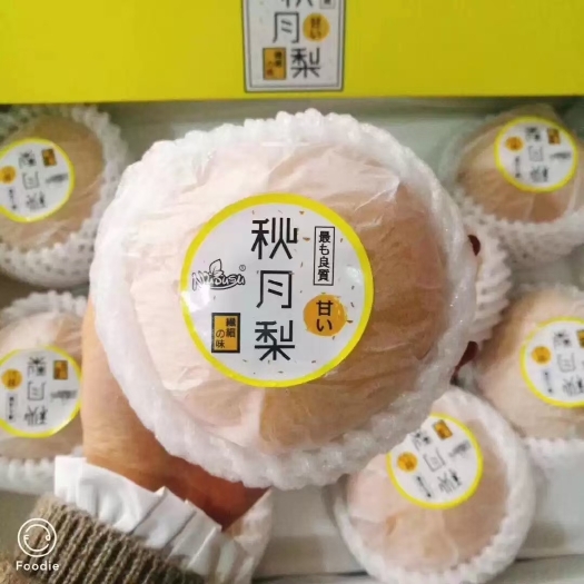 莱阳市秋月梨，产地莱阳，莱西