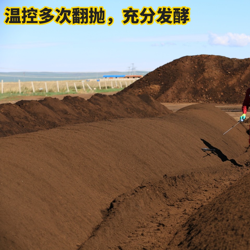 内蒙古发酵纯羊粪有机肥