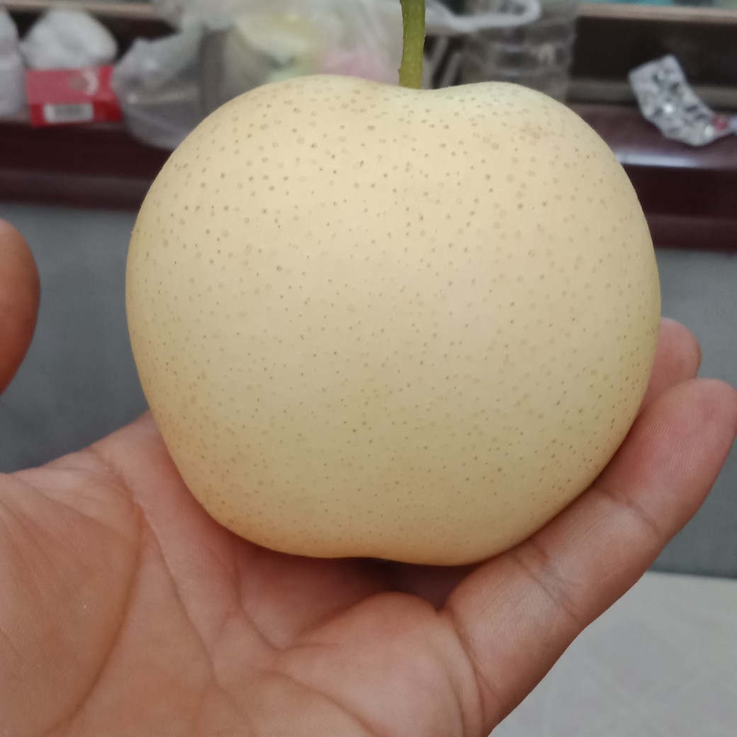 皇冠梨