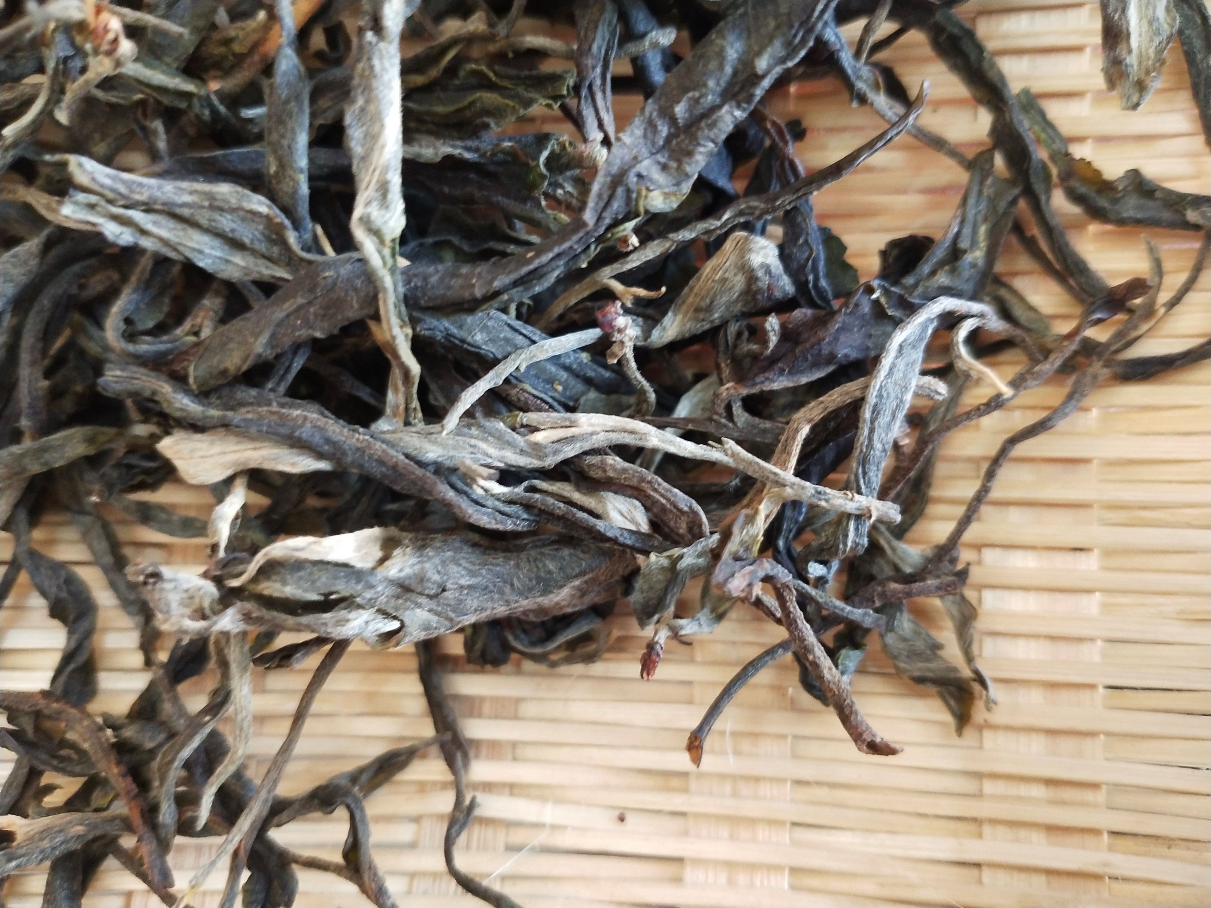 普洱茶 2019年普洱生茶散料 古树茶