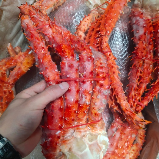上海智利帝王蟹脚800－1000