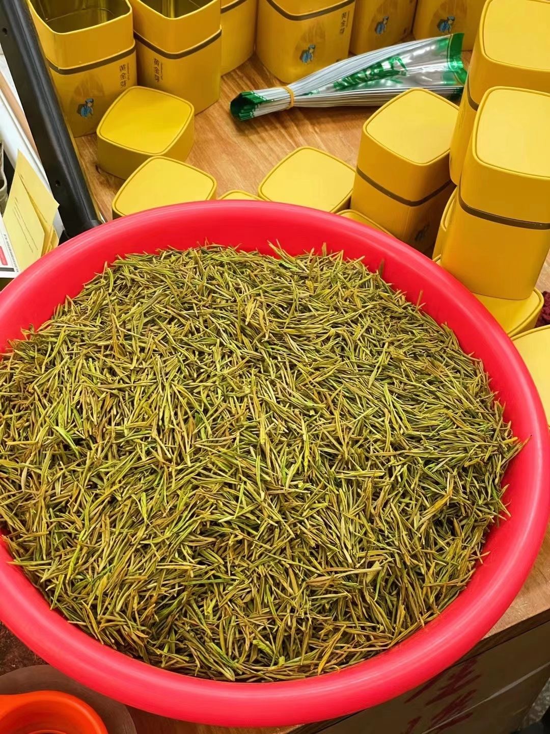 黄金茶  明前黄金芽