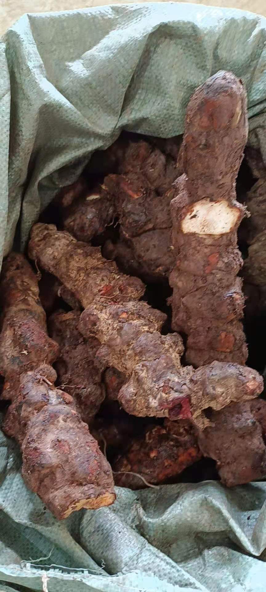 土茯苓云大土，白肉大量现货供应